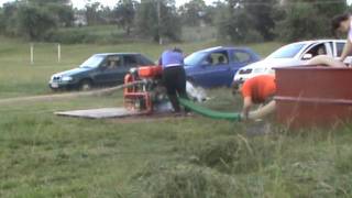 Devičie Ženy B