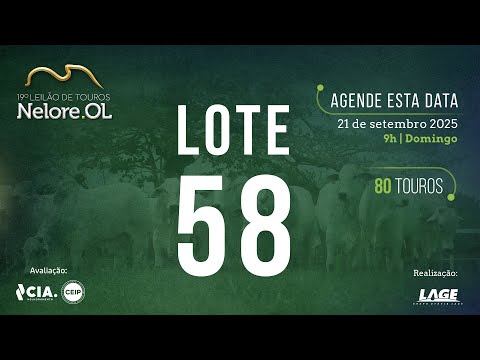LOTE 58 V91382 - 19º Leilão de Touros Nelore OL