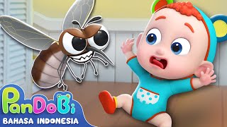 Si Nyamuk Nakal 🦟😣| Lagu Anak Nyamuk | Aku Benci Nyamuk | Lagu Anak | Super Pandobi Bahasa Indonesia