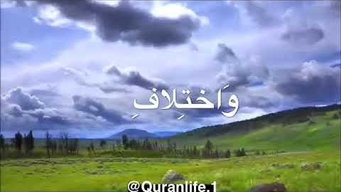 تلاوة في قمة العذوبة للقارىء محمد ايمن ابو الخير | سورة آل عمران