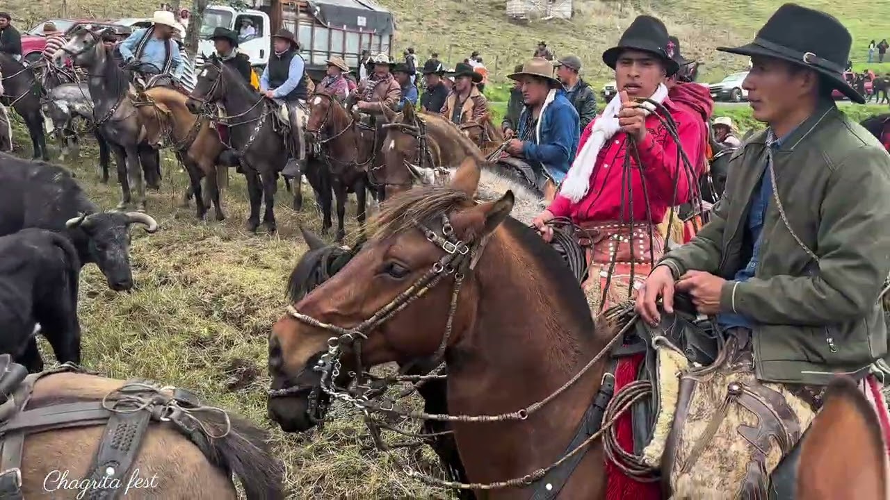 GONZOL. 2025  ENCUENTRO DE TOROS BRAVOS 