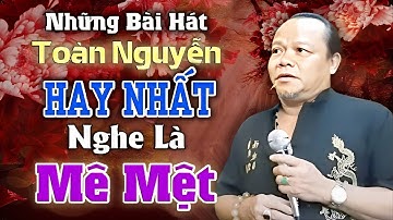 Những Ca Khúc Tuyển Chọn Hay Nhất NGHE LÀ MÊ MỆT của giọng ca TOÀN NGUYỄN