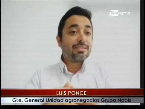 Nobis Fruit Company lanza arándanos Blue Star