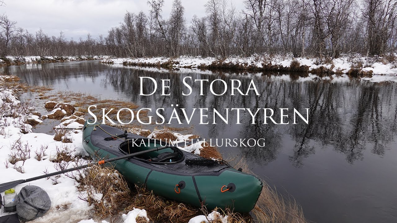 Vinterpaddling genom Kaitum Fjällurskog