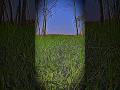 windows xp type shi #music #hyperpop #nature #retro