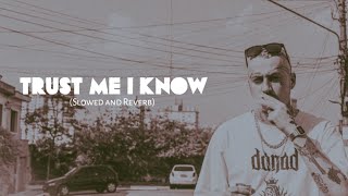Trust Me I Know (slowed and reverb) | Big Boi Deep | Byg Byrd