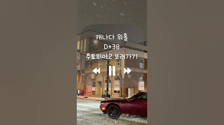 캐나다워홀 D+38 | 주토피아2 보러가기