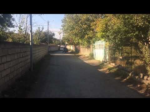 მუხრანი ვანო პაპა აკატავებს ბიჭებს