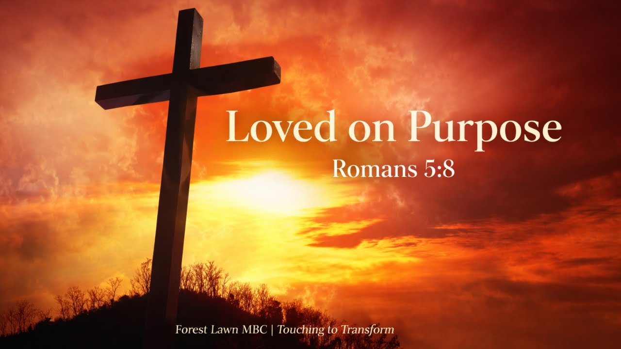 Bible Study - YouTube