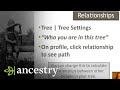 Keeping Track of Where You Are In Your Family Tree | Ancestry