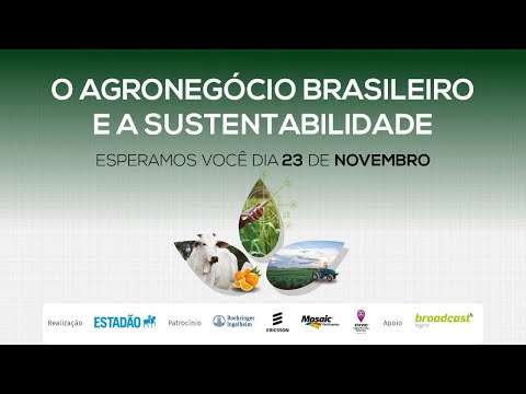 Agronegócio brasileiro e a sustentabilidade