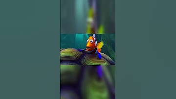 Finding Nemo Turtle Scene