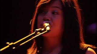 Ivy Rose Hummingbird Live