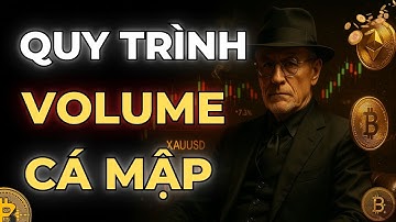 QUY TRÌNH VOLUME: GOM – ĐẨY – PHÂN PHỐI – RÚT TIỀN | CÁCH ĐỌC DẤU CHÂN CÁ MẬP | MẬT MÃ TRADING