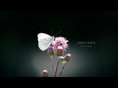 Hänschen Klein(나비야)