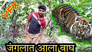 TIGER ATTACK |VFX SHORT FILM ||GREEN SCREEN ANIMATION VIDEO||