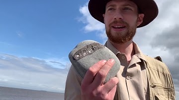 Kilve Beach Fossil Dig. Part 1. Joseph Hubbard. Creationresearchuk.com