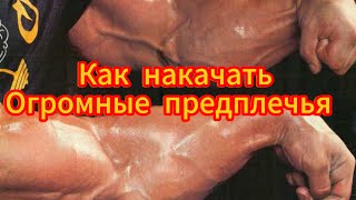 КАК НАКАЧАТЬ ГУСЯ? ПРОКАЧИВАЕМ СИЛЬНЫЙ ХВАТ!