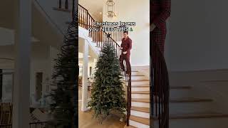 Shop here: thepineglow.com 🎄✨ #christmas #christmasgifts #christmastree #smartlights