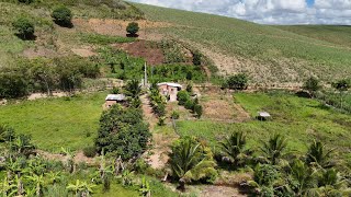 Vende se esse sítio no Engenho Herval zona rural Palmares PE 140.000 (081)996309085