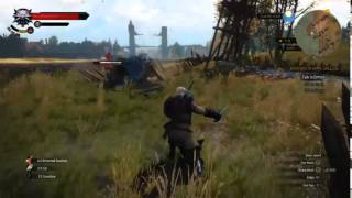 The Witcher 3 : Wild Hunt  Lucky Witcher Alive