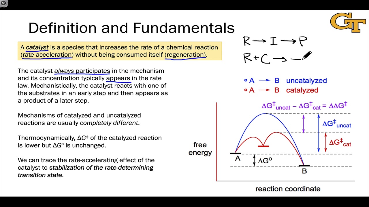 01.01 Fundamentals of Catalysis YouTube