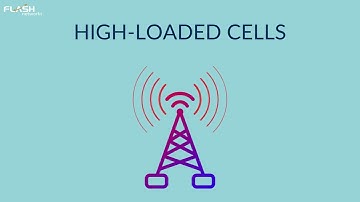 DATA MANAGEMENT solution