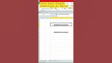 Cara Buat Single Underline di Excel #shortvideo #belajarexcelpemula #tutorialexcel #excel