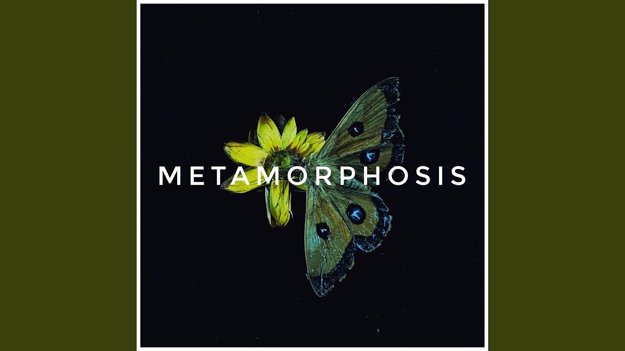 Watch Metamorphosis on YouTube Watch Metamorphosis on YouTube