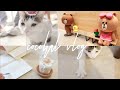 ［vlog］飼い猫のモーニングルーティン。LINEのオフィスに行った日。最近の読書の仕方。