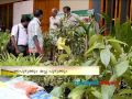 Food festival Kozhikode