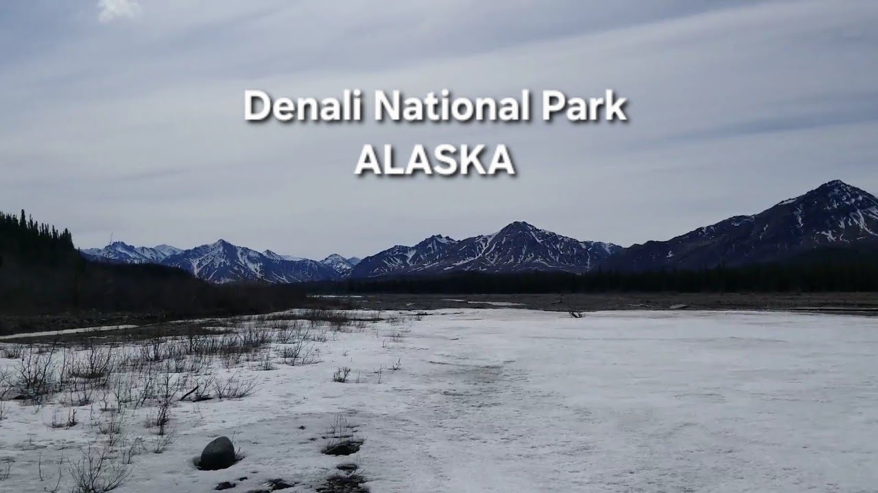 ALONE in Denali National Park Alaskan Wilderness 