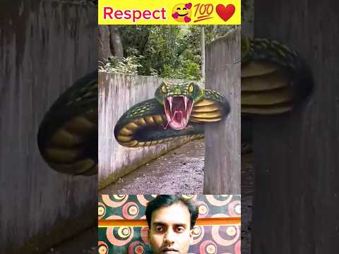 DJ Muratti Triangle Violin Classic Respect Video Song Funny Shorts