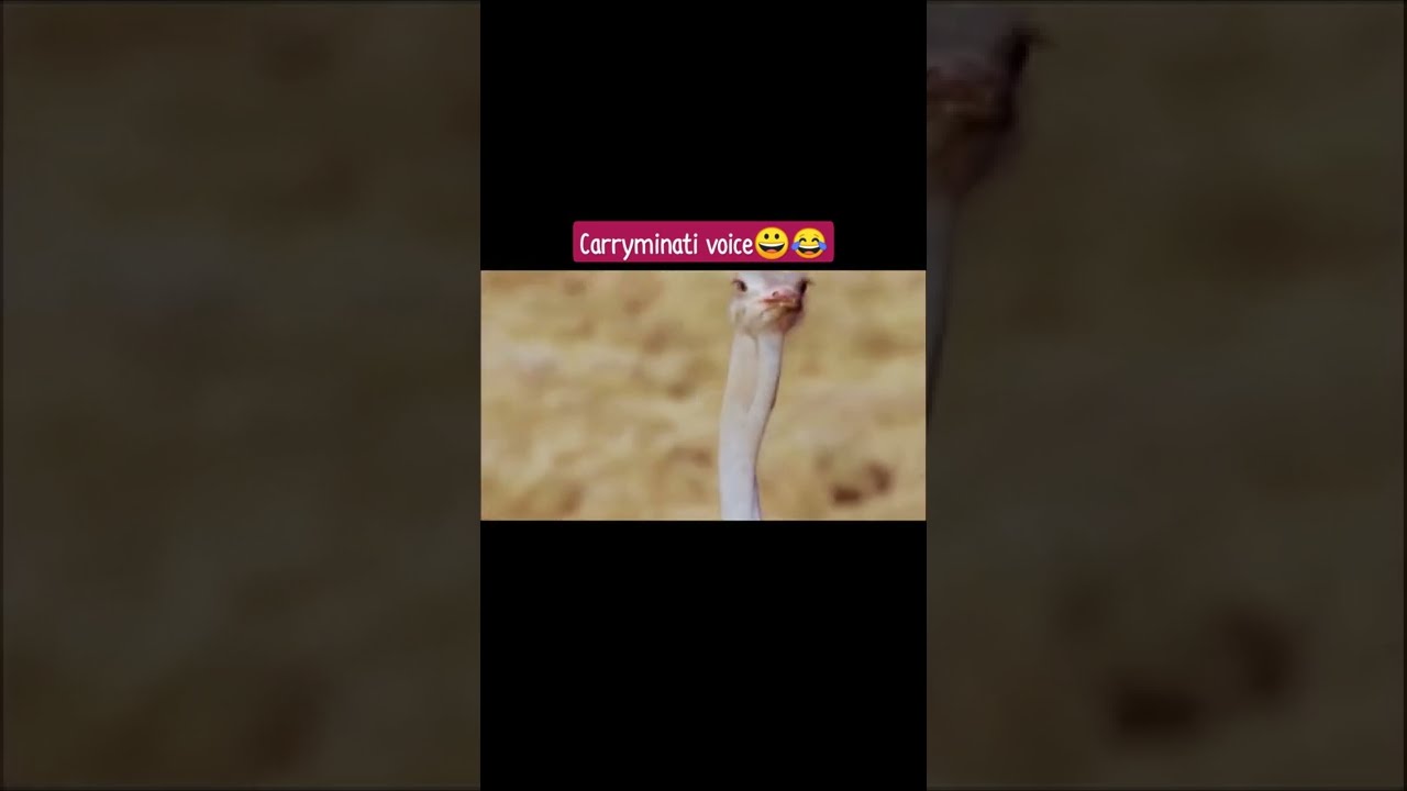 carryminati funny voice😀😂