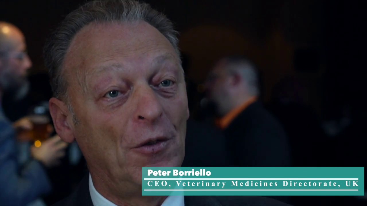 How can disease tracking and healthy animals prevent a pandemic?