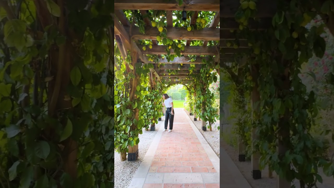 6420 N 59th Pl - Short Video | Joan Levinson Realty ONE Group