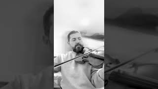 Gece Kemanı - Umut Hoşgör