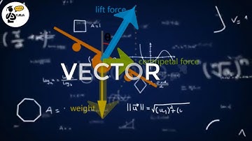VECTƠ là gì | Sự hình thành, phát triển và ứng dụng thực tế