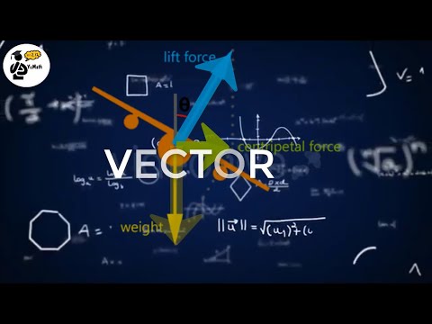 Video VECTƠ là gì | Sự hình thành, phát triển và ứng dụng... - youtube