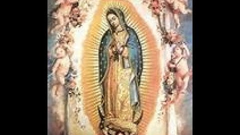 Tường Thuật Những Lần Đức Mẹ Hiện Ra Ở Guadalupe - Mễ Tây Cơ - Năm 1531