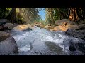 ☕ Lofi Nature, Chill Beats, River Ambience, Focus Music, Study 🌿 Riverside Work Session #relax