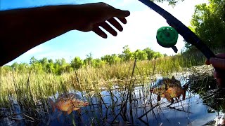 Повезло на рыбалке ! Ловля карася на боковой кивок #рыбалка #боковойкивок #fishing