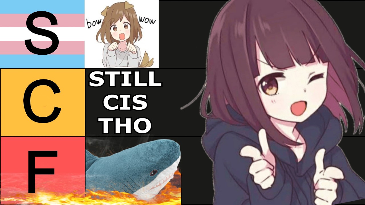 🏳️‍⚧️ The ULTIMATE Trans Stereotype TIERLIST!!!