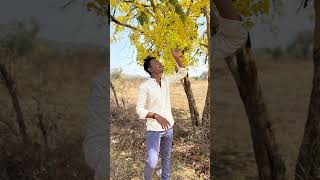 New short #viralvideo #short #shorts #photography #minivlog
