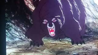 Beast Vs. Bear The Fox And The Hound
