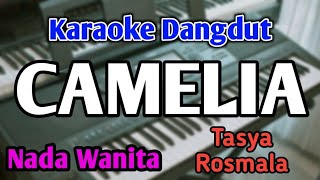 CAMELIA - KARAOKE || NADA WANITA CEWEK || Versi Dangdut Rampak || Tasya Rosmala || Live Keyboard