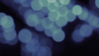 Phish: New Year's Run 2014-2015