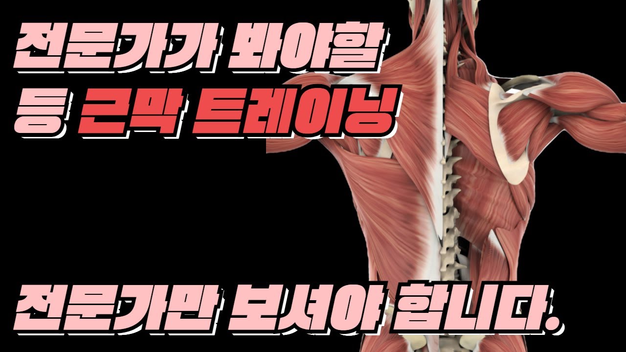 운동전문가들이 꼭 보셔야 할 등 근막 이완 운동