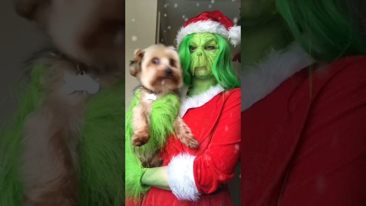 The Grinch! 🤣 #thegrinch #grinch #grinchcosplay #christmas #christmasmovie #christmascosplay #xmas