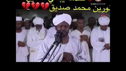 عندما يبكي الشيخ نورين محمد صديق #نورين_محمد_صديق #الشيخ_نورين #ابواحمد #شيخ_الزين #تلاوة_القران